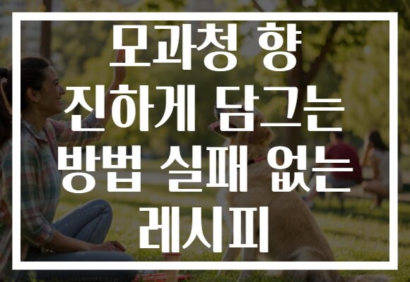 모과청 향 진하게 담그는 방법 실패 없는 레시피