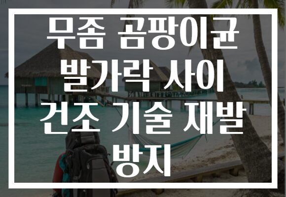 무좀 곰팡이균 발가락 사이 건조 기술 재발 방지