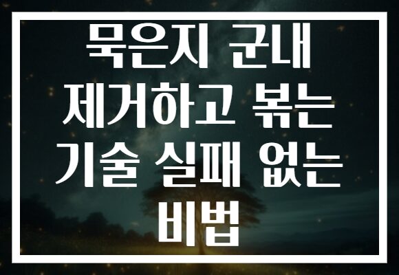 묵은지 군내 제거하고 볶는 기술 실패 없는 비법