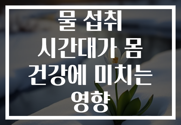 물 섭취 시간대가 몸 건강에 미치는 영향