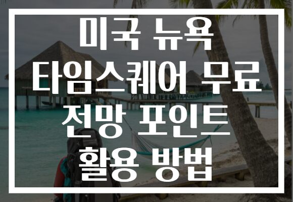 미국 뉴욕 타임스퀘어 무료 전망 포인트 활용 방법