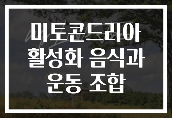 미토콘드리아 활성화 음식과 운동 조합