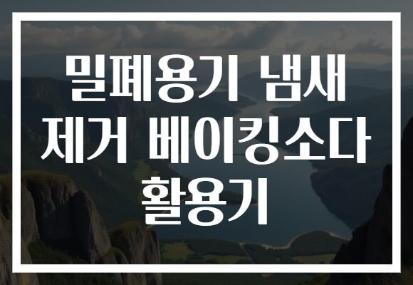 밀폐용기 냄새 제거 베이킹소다 활용기