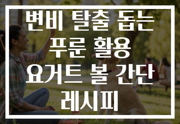 변비 탈출 돕는 푸룬 활용 요거트 볼 간단 레시피