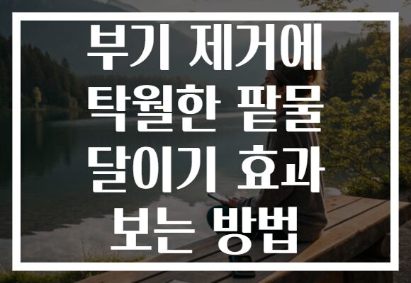 부기 제거에 탁월한 팥물 달이기 효과 보는 방법