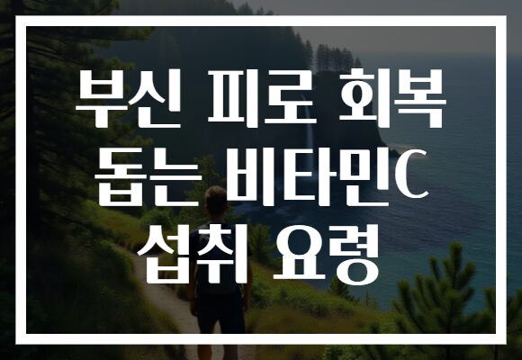 부신 피로 회복 돕는 비타민C 섭취 요령