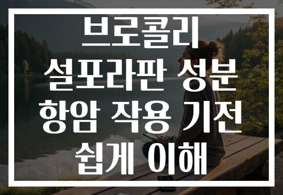 브로콜리 설포라판 성분 항암 작용 기전 쉽게 이해