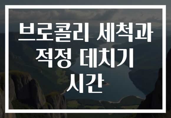 브로콜리 세척과 적정 데치기 시간