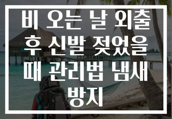 비 오는 날 외출 후 신발 젖었을 때 관리법 냄새 방지