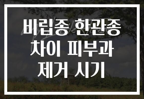 비립종 한관종 차이 피부과 제거 시기