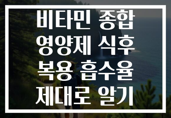 비타민 종합 영양제 식후 복용 흡수율 제대로 알기