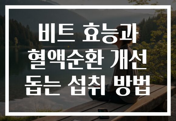 비트 효능과 혈액순환 개선 돕는 섭취 방법