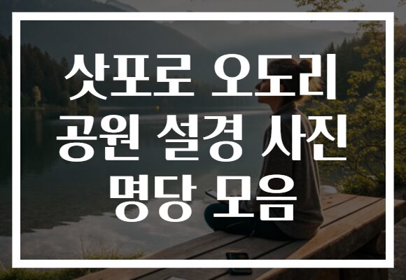 삿포로 오도리 공원 설경 사진 명당 모음
