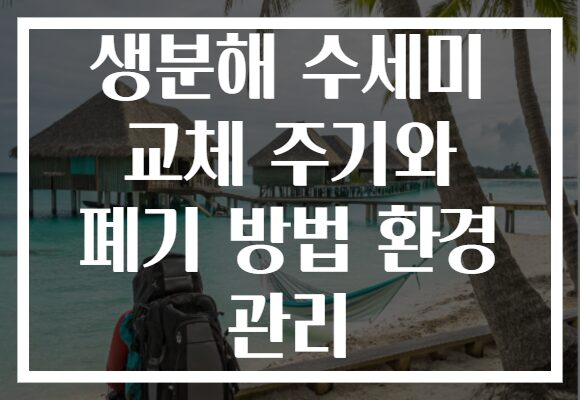 생분해 수세미 교체 주기와 폐기 방법 환경 관리