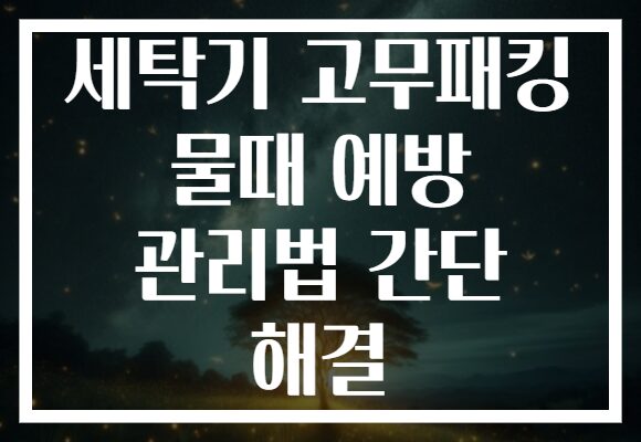 세탁기 고무패킹 물때 예방 관리법 간단 해결