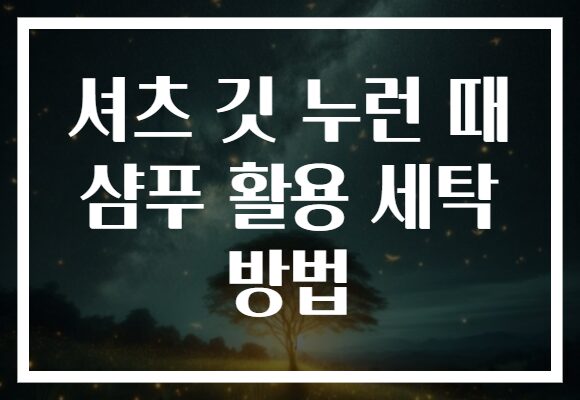 셔츠 깃 누런 때 샴푸 활용 세탁 방법