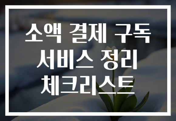 소액 결제 구독 서비스 정리 체크리스트