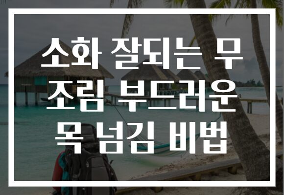 소화 잘되는 무 조림 부드러운 목 넘김 비법