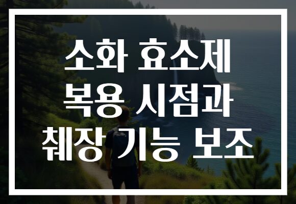 소화 효소제 복용 시점과 췌장 기능 보조