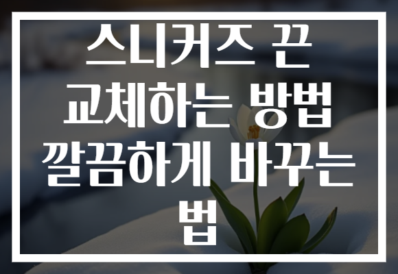 스니커즈 끈 교체하는 방법 깔끔하게 바꾸는 법