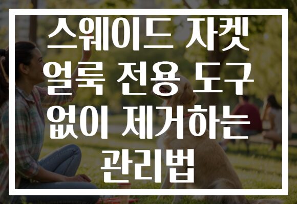 스웨이드 자켓 얼룩 전용 도구 없이 제거하는 관리법