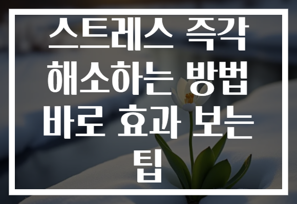 스트레스 즉각 해소하는 방법 바로 효과 보는 팁