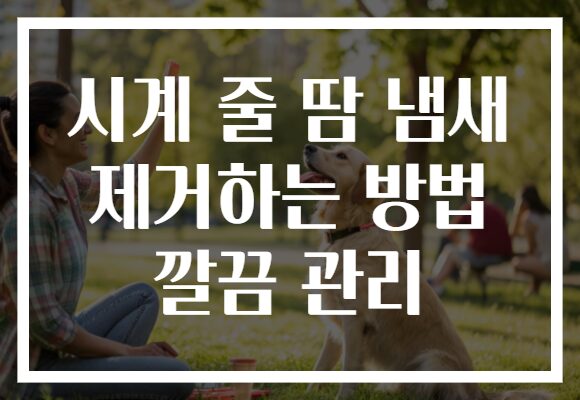 시계 줄 땀 냄새 제거하는 방법 깔끔 관리