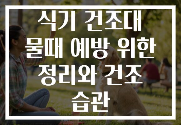 식기 건조대 물때 예방 위한 정리와 건조 습관