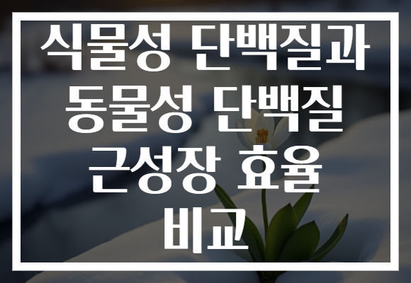 식물성 단백질과 동물성 단백질 근성장 효율 비교