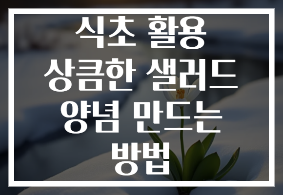 식초 활용 상큼한 샐러드 양념 만드는 방법