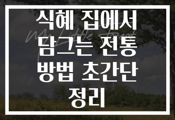 식혜 집에서 담그는 전통 방법 초간단 정리