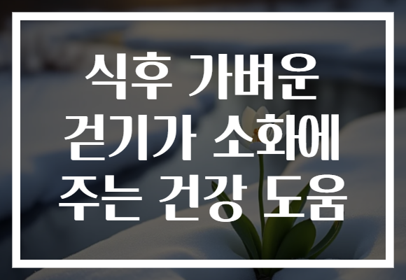식후 가벼운 걷기가 소화에 주는 건강 도움