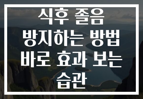 식후 졸음 방지하는 방법 바로 효과 보는 습관