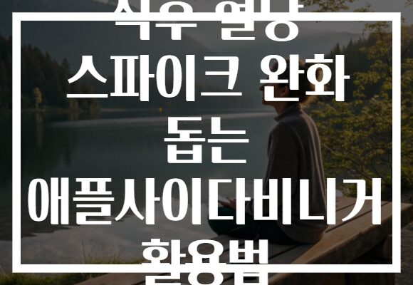 식후 혈당 스파이크 완화 돕는 애플사이다비니거 활용법