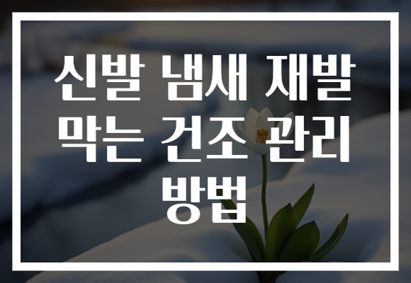 신발 냄새 재발 막는 건조 관리 방법