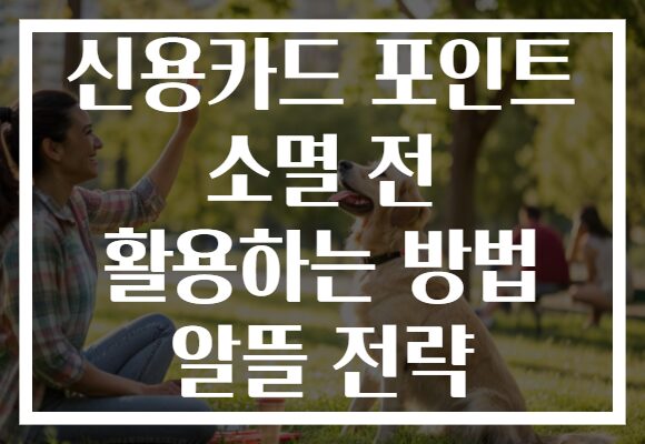 신용카드 포인트 소멸 전 활용하는 방법 알뜰 전략