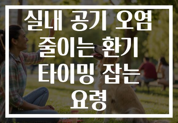 실내 공기 오염 줄이는 환기 타이밍 잡는 요령