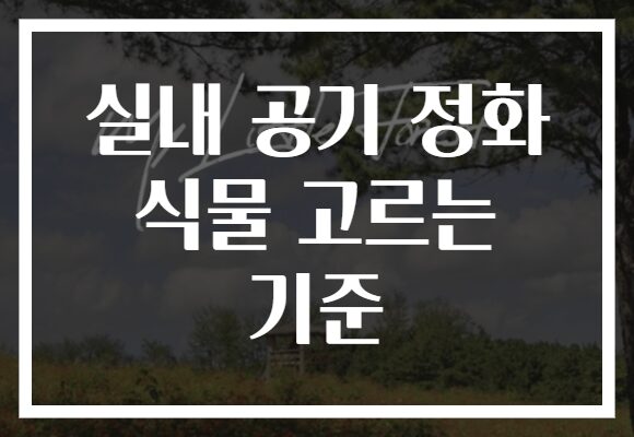 실내 공기 정화 식물 고르는 기준