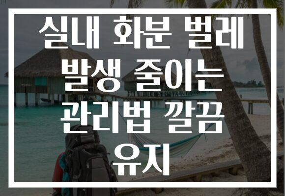 실내 화분 벌레 발생 줄이는 관리법 깔끔 유지