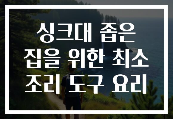 싱크대 좁은 집을 위한 최소 조리 도구 요리