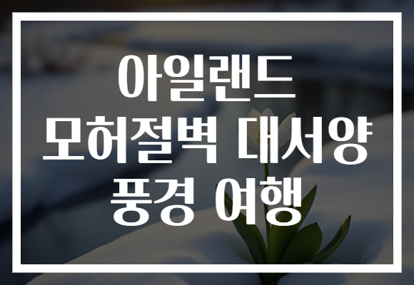 아일랜드 모허절벽 대서양 풍경 여행