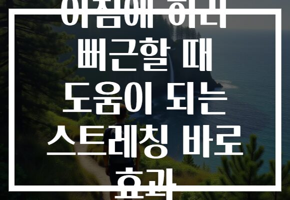 아침에 허리 뻐근할 때 도움이 되는 스트레칭 바로 효과
