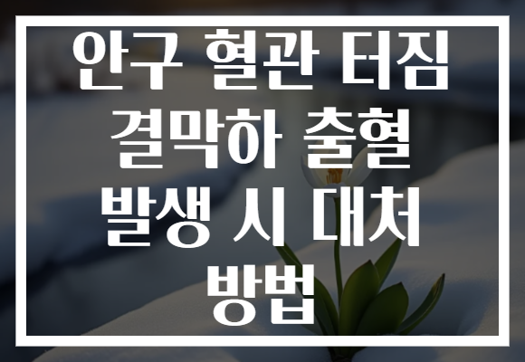 안구 혈관 터짐 결막하 출혈 발생 시 대처 방법