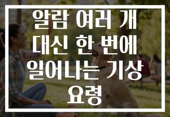 알람 여러 개 대신 한 번에 일어나는 기상 요령