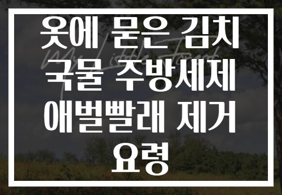 옷에 묻은 김치 국물 주방세제 애벌빨래 제거 요령