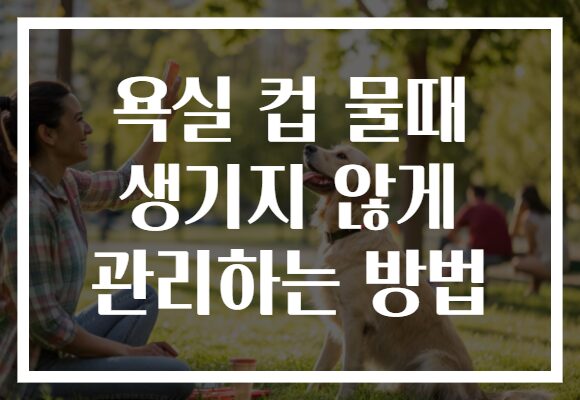 욕실 컵 물때 생기지 않게 관리하는 방법