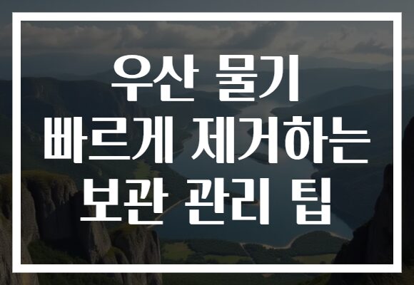 우산 물기 빠르게 제거하는 보관 관리 팁