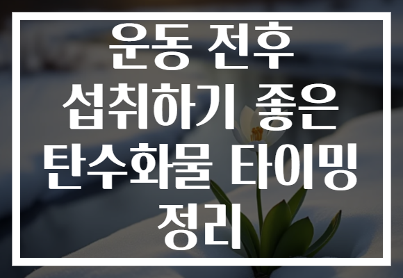 운동 전후 섭취하기 좋은 탄수화물 타이밍 정리