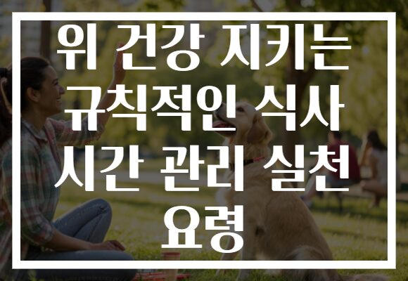 위 건강 지키는 규칙적인 식사 시간 관리 실천 요령