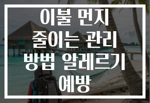 이불 먼지 줄이는 관리 방법 알레르기 예방